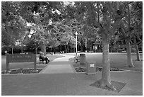 Freemont Park. Menlo Park,  California, USA (black and white)