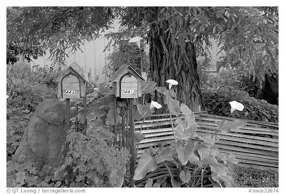 Mailboxes and front yard in a residential neighborhood. Menlo Park,  California, USA