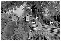 Mailboxes and front yard in a residential neighborhood. Menlo Park,  California, USA ( black and white)