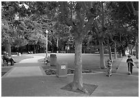 Children and parents, Freemont Park. Menlo Park,  California, USA (black and white)