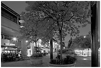 Menlo Center at night, with cafe Borrone and Keplers bookstore. Menlo Park,  California, USA (black and white)