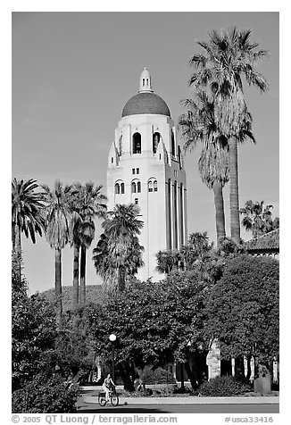 Hoover Tower seen from the Main  Quad, late afternoon. Stanford University, California, USA (black and white)