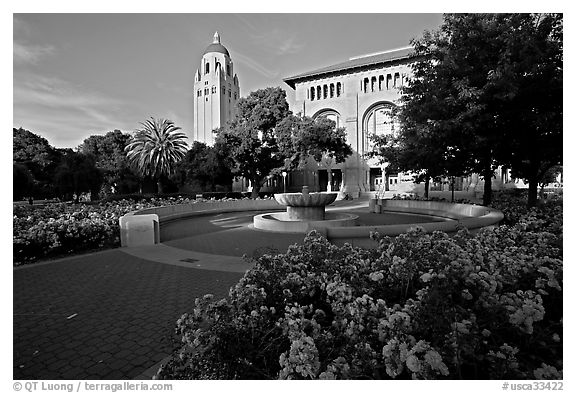 Bing Wing of Green Library and Hoover Tower,  late afternoon. Stanford University, California, USA (black and white)