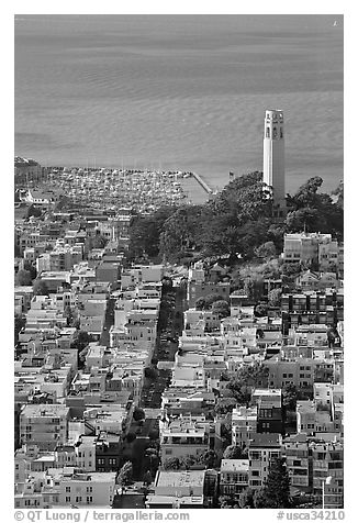 View from above of Telegraph Hill and Coit Tower, late afteroon. San Francisco, California, USA
