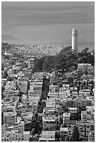 View from above of Telegraph Hill and Coit Tower, late afteroon. San Francisco, California, USA (black and white)