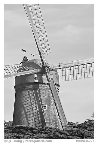 Dutch Mill. San Francisco, California, USA