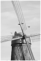 Crows and Dutch Mill. San Francisco, California, USA (black and white)