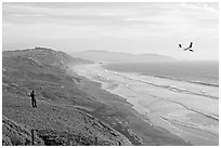 Man piloting model glider, Fort Funston, late afternoon. San Francisco, California, USA (black and white)