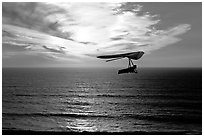 Soaring in a hang glider above the ocean at sunset,  Fort Funston. San Francisco, California, USA (black and white)