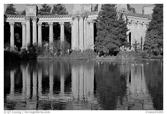 Colonades and reflection, Palace of Fine Arts, morning. San Francisco, California, USA (black and white)