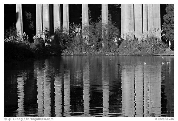 Reflection of colonade, Palace of Fine Arts, morning. San Francisco, California, USA