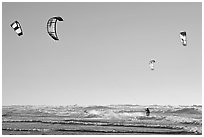 Multitude of kite surfing wings, afternoon. San Francisco, California, USA ( black and white)