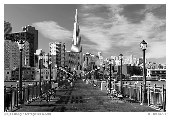 Pier 7 and Transamerica Pyramid, morning. San Francisco, California, USA