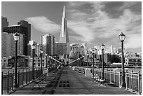 Pier 7 and Transamerica Pyramid, morning. San Francisco, California, USA ( black and white)