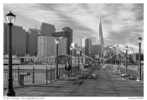 Pier seven and skyline, morning. San Francisco, California, USA