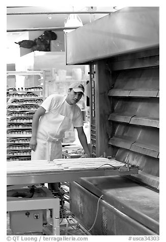 Baker loading loafs of bread into oven. San Francisco, California, USA (black and white)