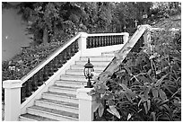 Stairs and garden, Nob Hill. San Francisco, California, USA (black and white)