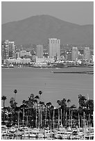 Yachts, skyline, and San Miguel Mountain, dusk. San Diego, California, USA (black and white)