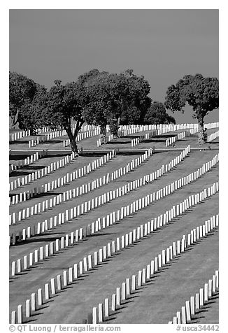 Fort Rosecrans National Cemetary, the third largest in the US. San Diego, California, USA (black and white)