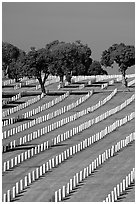 Fort Rosecrans National Cemetary, the third largest in the US. San Diego, California, USA (black and white)