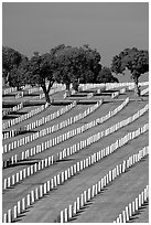 Fort Rosecrans National Cemetary, the third largest in the US. San Diego, California, USA (black and white)