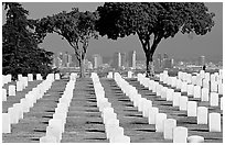 Rows of white gravestones and San Diego skyline, Point Loma. San Diego, California, USA ( black and white)