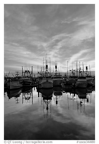 Fishing fleet at sunset. San Diego, California, USA