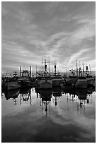 Fishing fleet at sunset. San Diego, California, USA ( black and white)