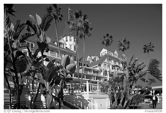 Del Coronado hotel framed by palm trees. San Diego, California, USA (black and white)