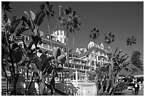 Del Coronado hotel framed by palm trees. San Diego, California, USA ( black and white)