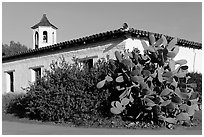 Cactus and adobe house, Old Town State Historic Park. San Diego, California, USA (black and white)