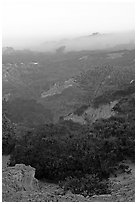 Ridges and fog and sunrise,  Torrey Pines State Preserve. La Jolla, San Diego, California, USA (black and white)