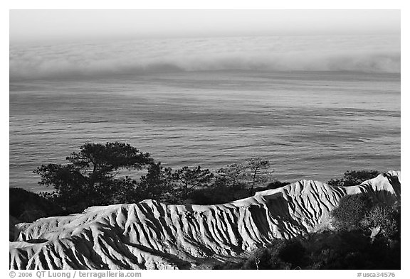 Eroded bluffs, ocean and fog, sunrise, Torrey Pines State Preserve. La Jolla, San Diego, California, USA