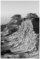 Broken Hill and Torrey Pines, sunrise, Torrey Pines State Preserve. La Jolla, San Diego, California, USA (black and white)