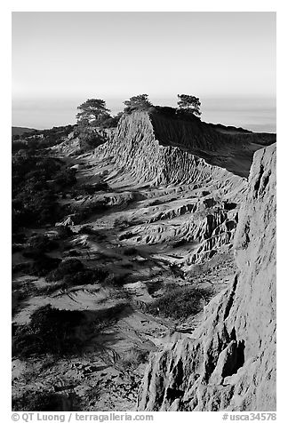 Steep weathered sandstone cliffs, Torrey Pines State Preserve. La Jolla, San Diego, California, USA (black and white)