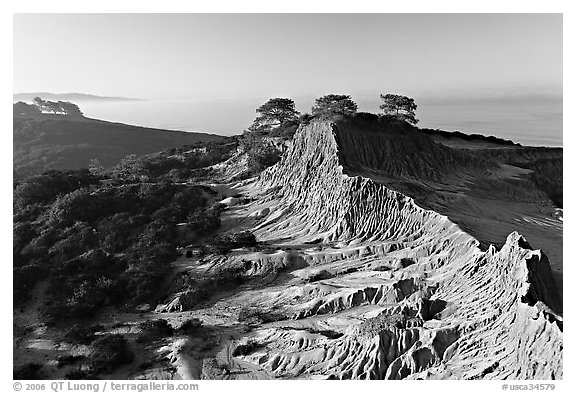 Eroded sandstone cliffs of Broken Hill,  Torrey Pines State Preserve. La Jolla, San Diego, California, USA (black and white)