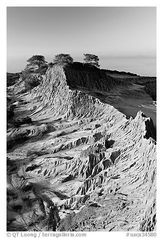 Eroded sandstone promontory,  Torrey Pines State Preserve. La Jolla, San Diego, California, USA (black and white)