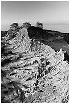 Eroded sandstone promontory,  Torrey Pines State Preserve. La Jolla, San Diego, California, USA ( black and white)