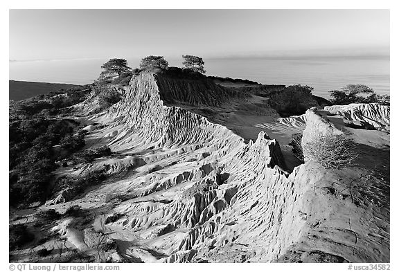 Broken Hill and Ocean,  Torrey Pines State Preserve. La Jolla, San Diego, California, USA