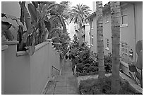 Narrow Alley. La Jolla, San Diego, California, USA ( black and white)