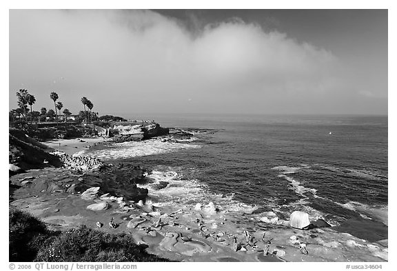 San Jolla Cove and seabirds. La Jolla, San Diego, California, USA