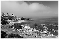 San Jolla Cove and seabirds. La Jolla, San Diego, California, USA ( black and white)