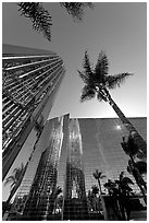 Looking upwards the Crystal Cathedral, with sun shining through the building. Garden Grove, Orange County, California, USA (black and white)