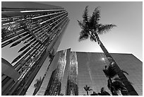 Bell tower and sun shining through the Crystal Cathedral Facade,. Garden Grove, Orange County, California, USA ( black and white)