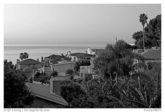 Villas and mediterranean vegetation at dawn. Laguna Beach, Orange County, California, USA (black and white)