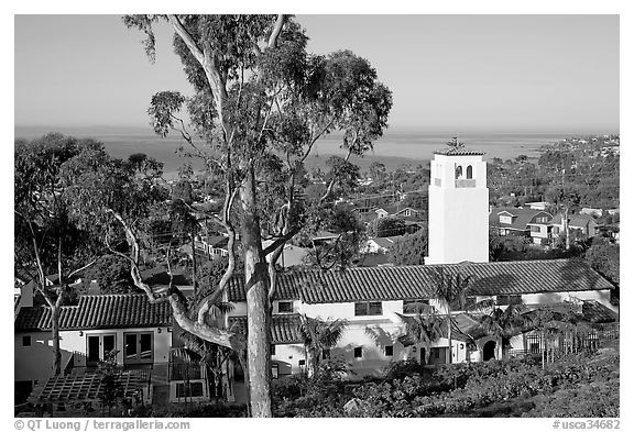 Eucalyptus tree and church. Laguna Beach, Orange County, California, USA (black and white)