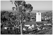 Eucalyptus tree and church. Laguna Beach, Orange County, California, USA (black and white)