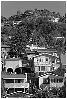 Houses on verdant hillside. Laguna Beach, Orange County, California, USA (black and white)