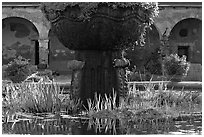 Moorish-style fountain and  courtyard arches. San Juan Capistrano, Orange County, California, USA (black and white)