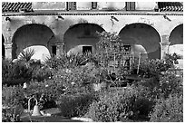 Garden in the entrance courtyard. San Juan Capistrano, Orange County, California, USA ( black and white)